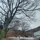 백운면사무소 이미지