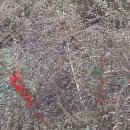 최연숙농장 이미지