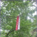 바우길 2구간 이미지