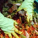 남쪽창고농수산물협동조합 | 남쪽창고농수산물협동조합 해남절임배추 예약 택배로 받았어요