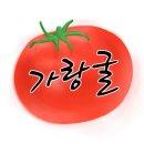 댕글댕글 | 가랑굴농원 대추방울토마토 택배 배송 후기
