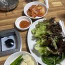 시장식육식당 | 포항 풍자 또간집 소찌개 맛집 시장식육식당 내돈내산 후기