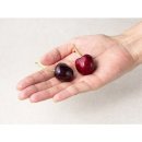 조은광택 | 🍒겨울마다 난리나는 다조은 칠레산 체리 맛·보관·고르는법 총정리