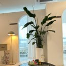 동탄감배산로 이미지