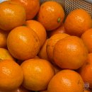 이은컴퍼니(주) | 2025년 안녕 ! 2026년 안녕!