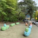 물고기의눈물이호수로 이미지