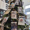 수원시동물보호센터 동물병원 | (수원 당신의 동물의료센터) 관절염 치료후기