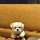 용애마트 이미지