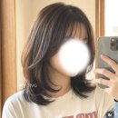 신내로 | 신내동 미용실 준오헤어 신내점 염색 후기ㅣ도담 수석실장님께 매트 브라운으로 염색