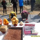 도봉초교 이미지