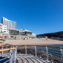 남일대리조트 해수월드 이미지