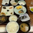 도리4천 이미지