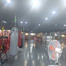 팀베스트 정심관(MMA) 이미지