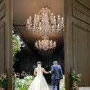 Wedding :: 컴플릿스냅 아이폰 스냅 후기