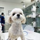 유앤미동물병원 이미지