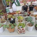 화정역 광장 이미지