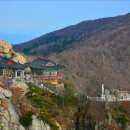 농축산마트 앞 이미지