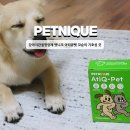 큐펫 | 강아지관절영양제 펫니크 아티큐펫 꼬순이 기호성 굿