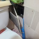 다우스모텔 이미지