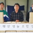 해남햇살영농조합법인 이미지