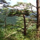 만수교 주변 | 만수봉/만수계곡 하계야유회 후기(성산초등학교총동창회)