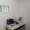 마이펫 강아지유치원 이미지