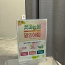 에스트니스화월
