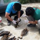 울산광역시 야생동물구조관리센터 이미지