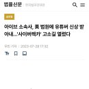 탈덕수용소 고소를 위해 자료 수천개를 모두 영어로 번역했다는 스타쉽.gisa 이미지