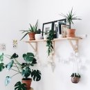 정리정돈+미니멀라이프 이미지