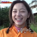 정글그룹 이미지