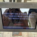 온당국수수원 | [수원 행궁동 무무옥] 늘 웨이팅 있는 감성 퓨전 한식 맛집 주말 내돈내산 후기(웨이팅 팁, 주차...