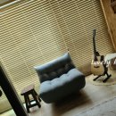 라라데코 이미지