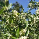 미성민박 이미지