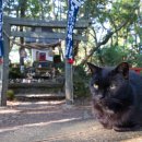 수채화(동부센터) 이미지