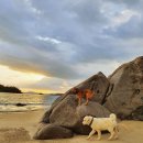 라메르해남 이미지