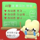 산골애 이미지