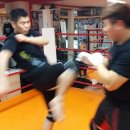 진해 복싱체육관 이미지