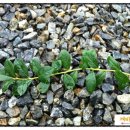 녹지농장 이미지