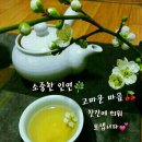 아사비야 이미지