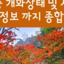 하조대 주차장 화장실 이미지