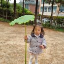 토란어린이집 이미지