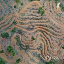 우림농장 이미지