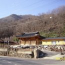미곡1길 Daum카페