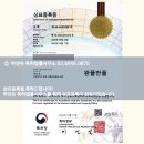 완플반플