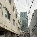 [술집] 합정 이모카세 추천 / 합정 목포식당 후기