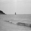 동백공원 대체 이미지