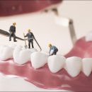 박플란트치과의원 이미지