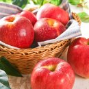 늘푸른한의원 이미지