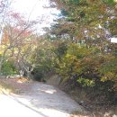 정자항 공원 이미지